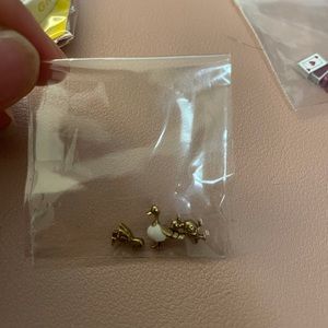 Duck charms